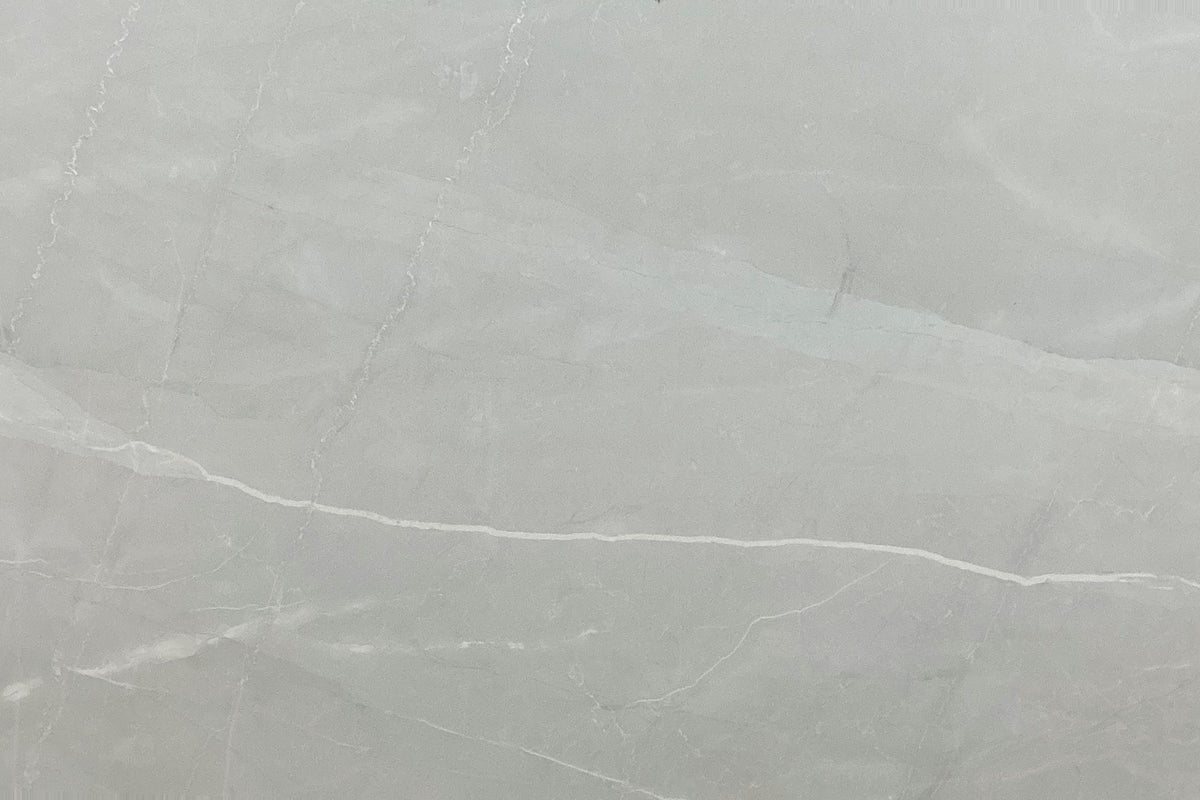 Amaretto Silver Matte Tile 24×48 5mm, full view