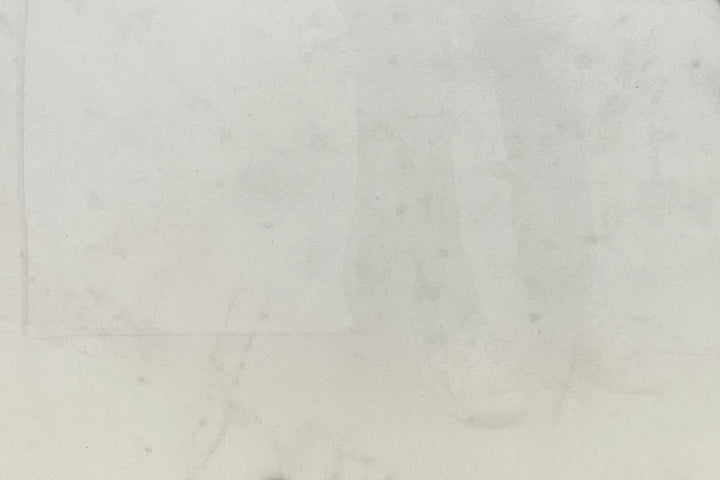 Carrara Grace, 24×48 glossy, tile, full view
