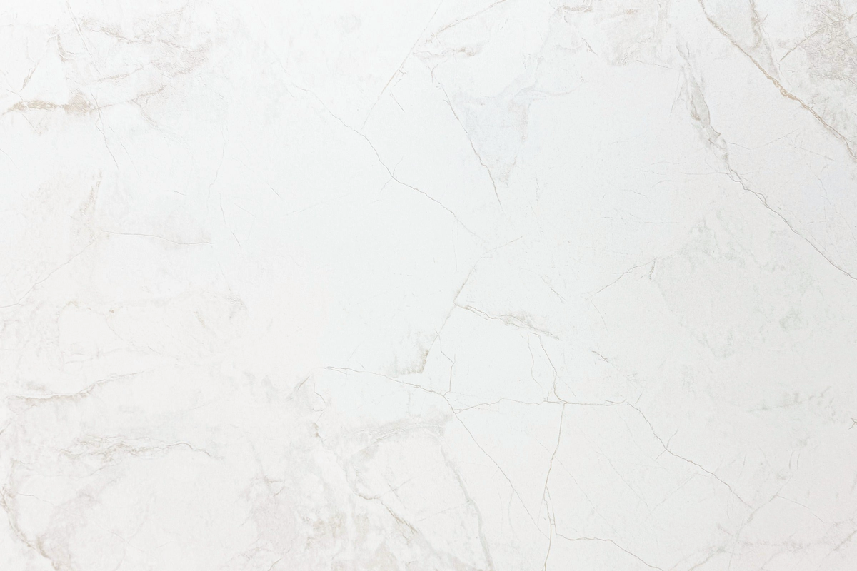 White Matte Tile 24×48 — DELC-001, full view