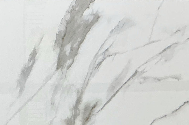 Effco Satvario Glossy Tile 12×24, full view