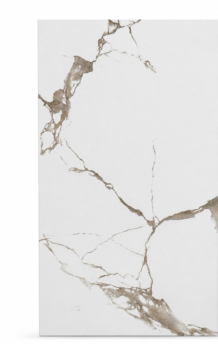 White Matt Tile 12×24 — JX6620D, full view