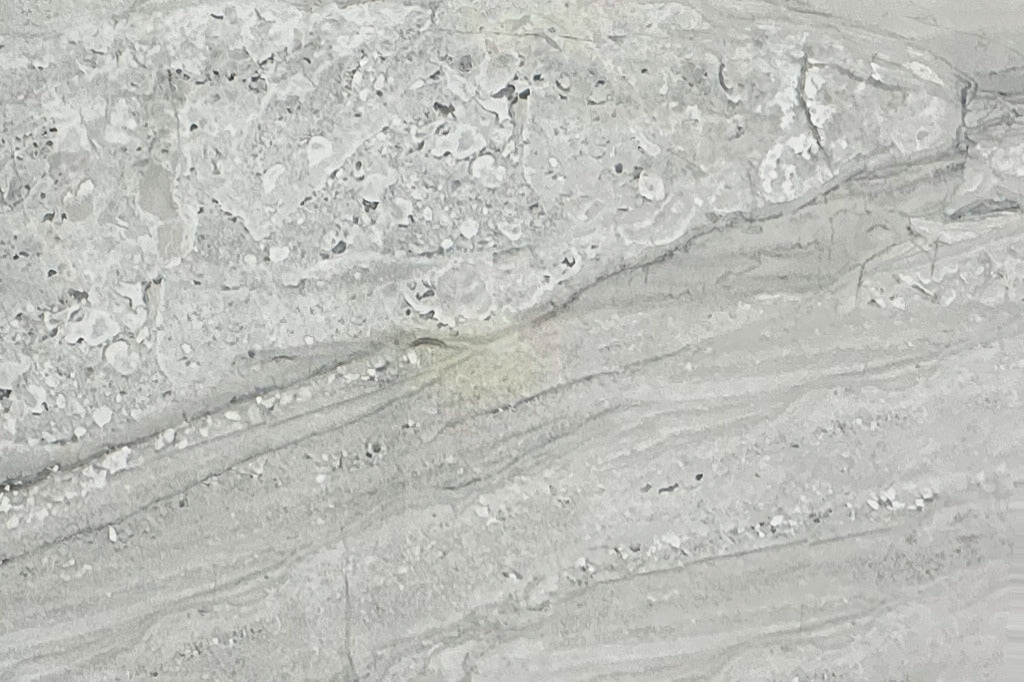 Grey Glossy Tile 12×24 — SS 3633, full view