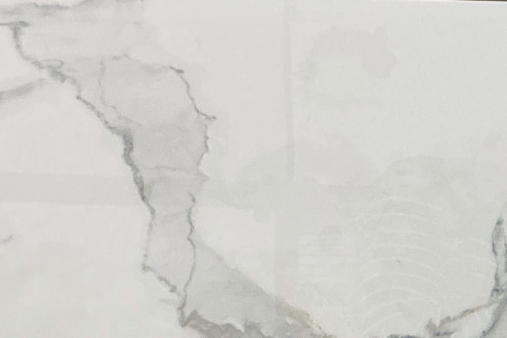 Thasos White, 12×24 glossy, tile, full view