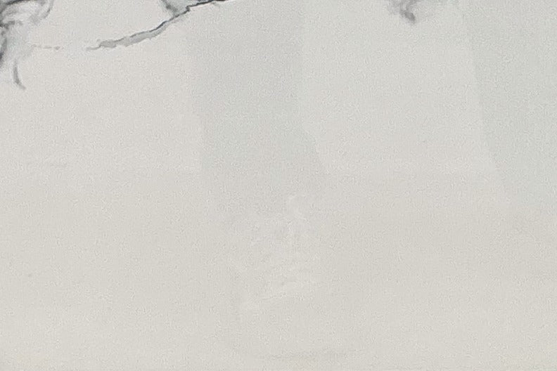 Venus Bianco Tile 24×24, full view